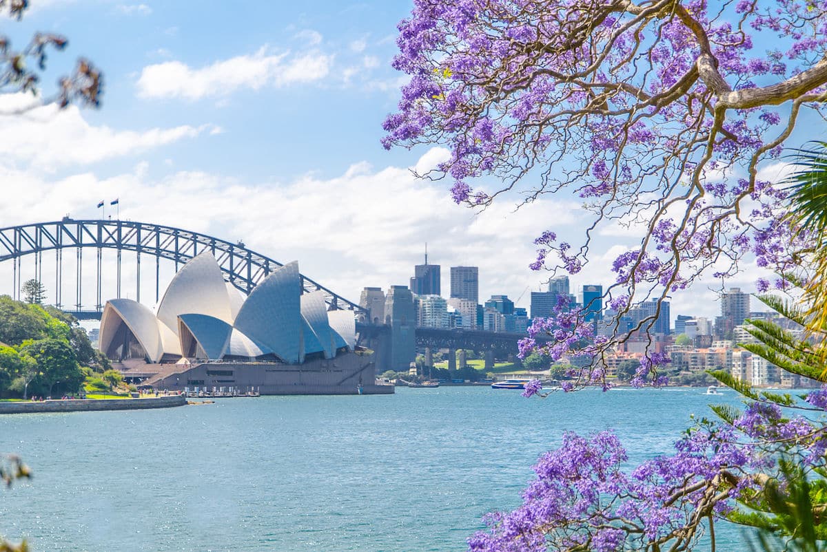Spring cleaning Sydney home by No Sweat Cleaning
